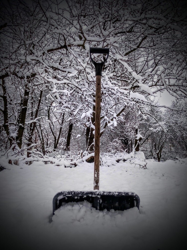 Ostatnie opady śniegu oraz niskie temperatury spowodowały, że poczuliśmy klimat ferii. Jak wygląda miasto przysypane śniegiem? Sprawdźcie w naszej galerii!

fot. Zdjęcia Czytelników