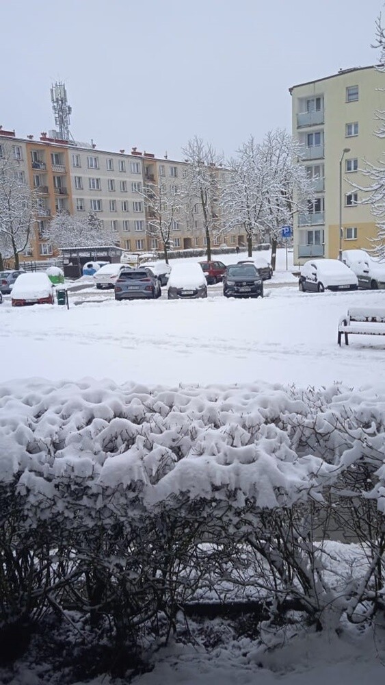 Ostatnie opady śniegu oraz niskie temperatury spowodowały, że poczuliśmy klimat ferii. Jak wygląda miasto przysypane śniegiem? Sprawdźcie w naszej galerii!

fot. Zdjęcia Czytelników