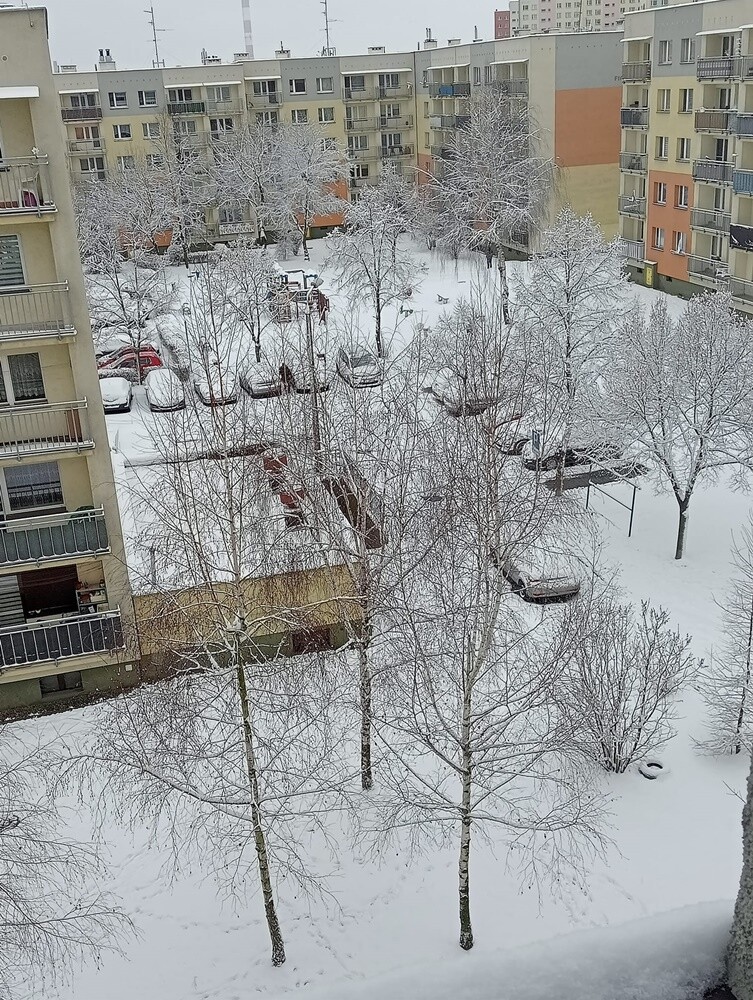 Ostatnie opady śniegu oraz niskie temperatury spowodowały, że poczuliśmy klimat ferii. Jak wygląda miasto przysypane śniegiem? Sprawdźcie w naszej galerii!

fot. Zdjęcia Czytelników