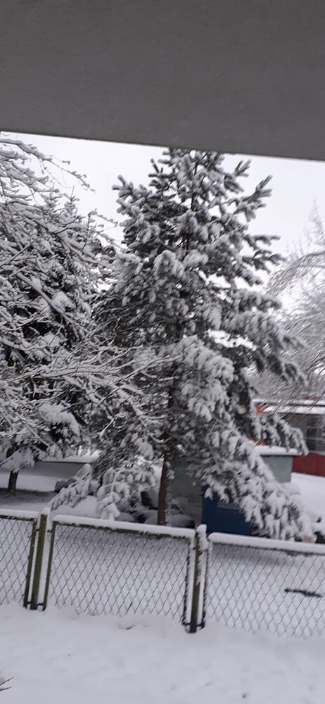 Ostatnie opady śniegu oraz niskie temperatury spowodowały, że poczuliśmy klimat ferii. Jak wygląda miasto przysypane śniegiem? Sprawdźcie w naszej galerii!

fot. Zdjęcia Czytelników