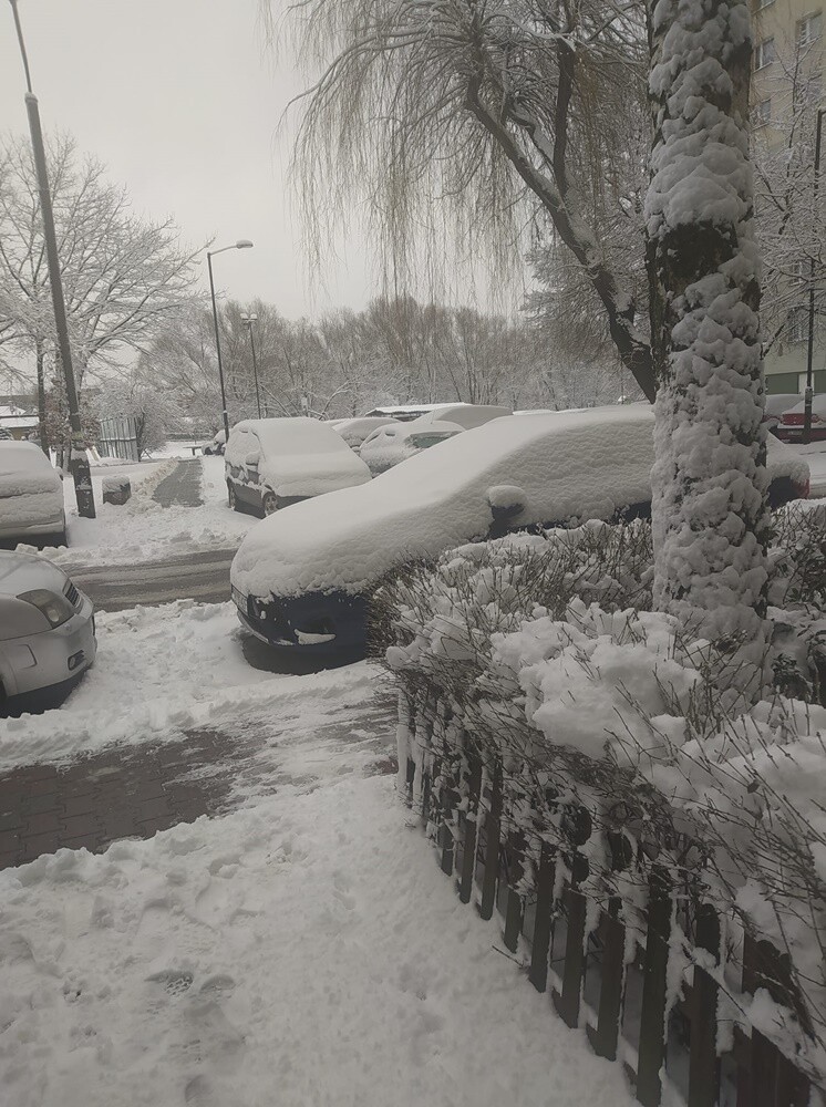 Ostatnie opady śniegu oraz niskie temperatury spowodowały, że poczuliśmy klimat ferii. Jak wygląda miasto przysypane śniegiem? Sprawdźcie w naszej galerii!

fot. Zdjęcia Czytelników