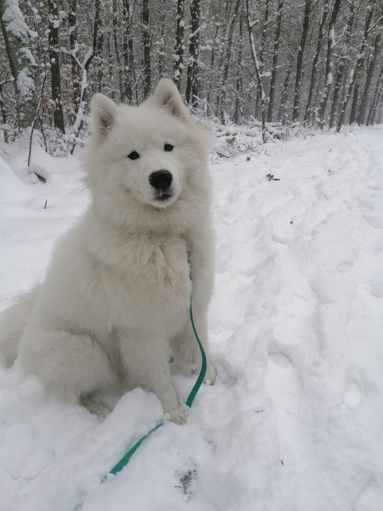 Śnieg w Rudzie Śląskiej. Zobaczcie zdjęcia naszych Czytelników!