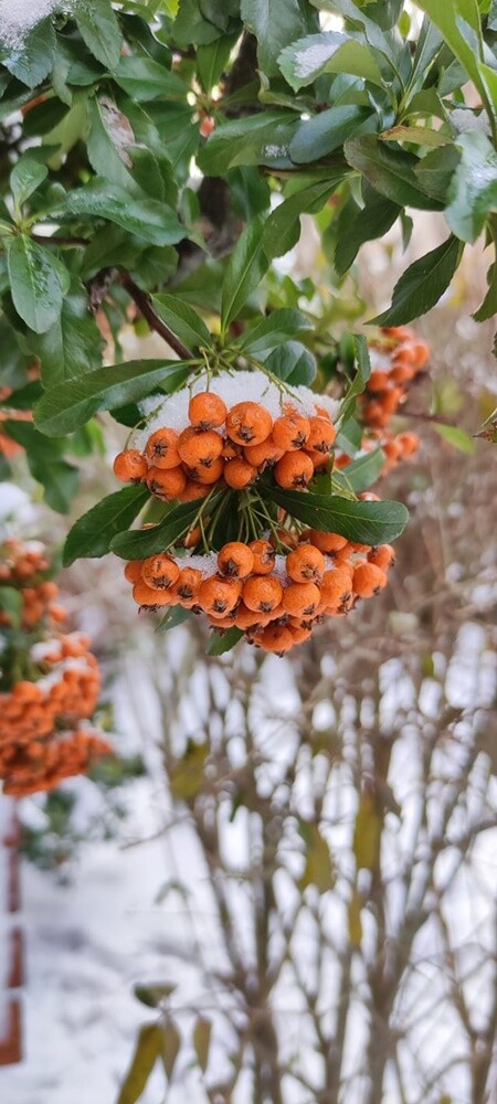 Śnieg w Rudzie Śląskiej. Zobaczcie zdjęcia naszych Czytelników!