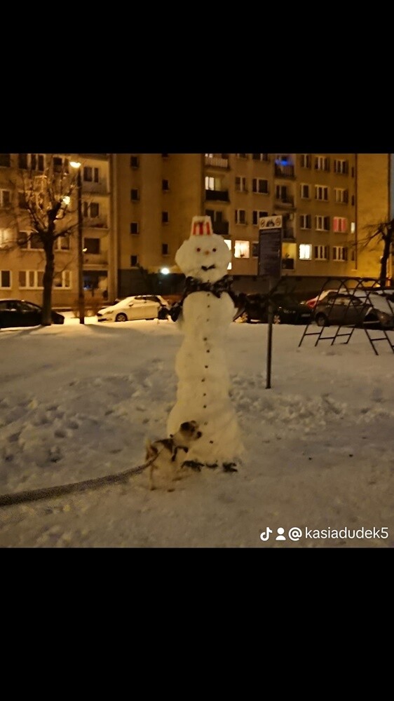 Śnieg w Rudzie Śląskiej. Zobaczcie zdjęcia naszych Czytelników!