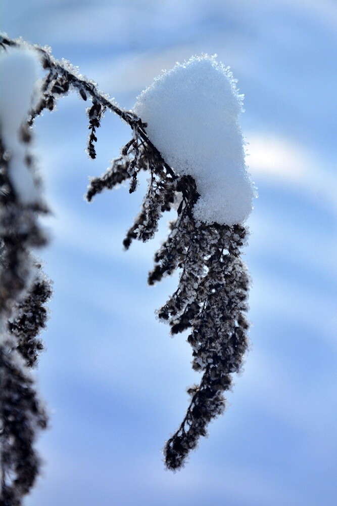Ostatnie opady śniegu oraz bardzo niskie temperatury spowodowały, że poczuliśmy magię Świąt Bożego Narodzenia. Jak wygląda miasto przysypane śniegiem? Sprawdźcie w naszej galerii!

fot. Jacek Knapik