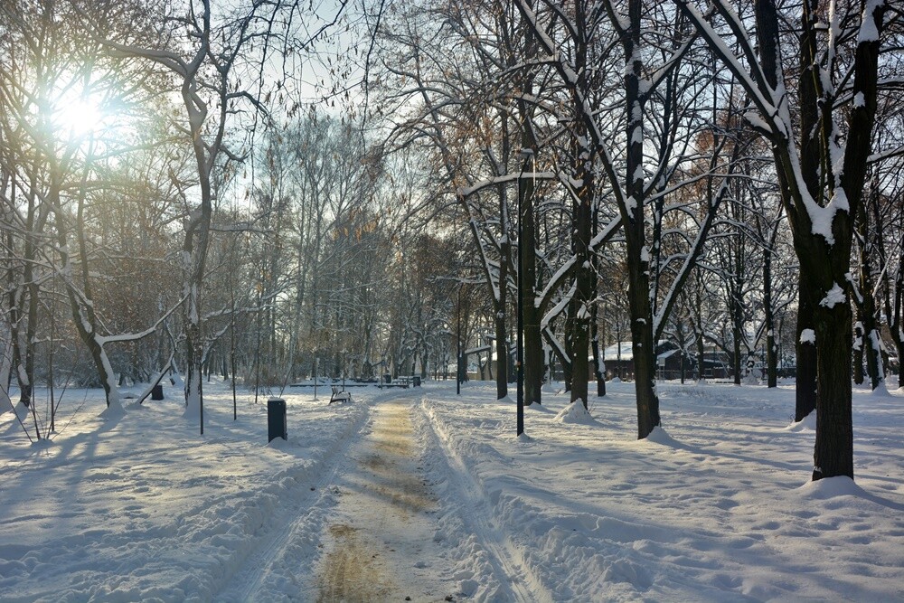 Ostatnie opady śniegu oraz bardzo niskie temperatury spowodowały, że poczuliśmy magię Świąt Bożego Narodzenia. Jak wygląda miasto przysypane śniegiem? Sprawdźcie w naszej galerii!

fot. Jacek Knapik