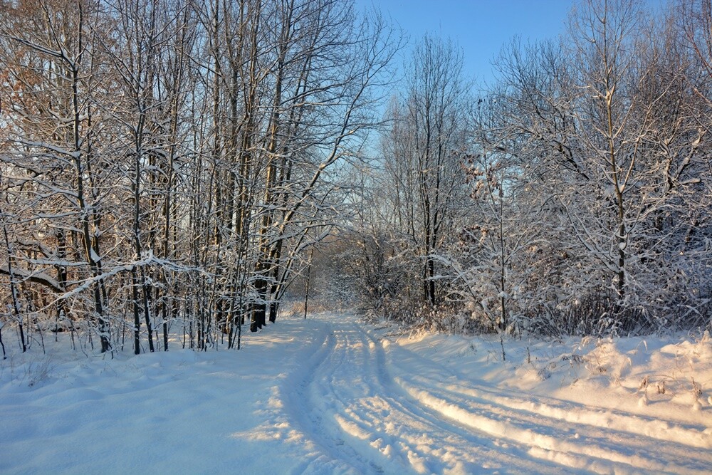 Zobaczcie, jak prezentuje się Ruda Śląska, przyozdobiona białym płaszczem. / fot. Jacek Knapik / FB Rafał Wypior