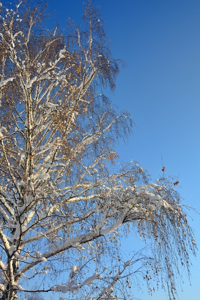 Zobaczcie, jak prezentuje się Ruda Śląska, przyozdobiona białym płaszczem. / fot. Jacek Knapik / FB Rafał Wypior