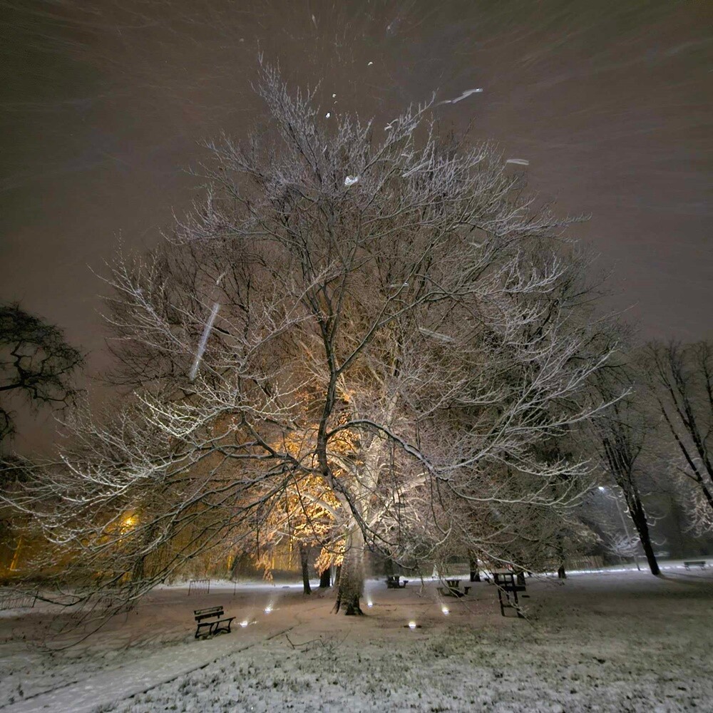 Zobaczcie, jak prezentuje się Ruda Śląska, przyozdobiona białym płaszczem. / fot. Jacek Knapik / FB Rafał Wypior