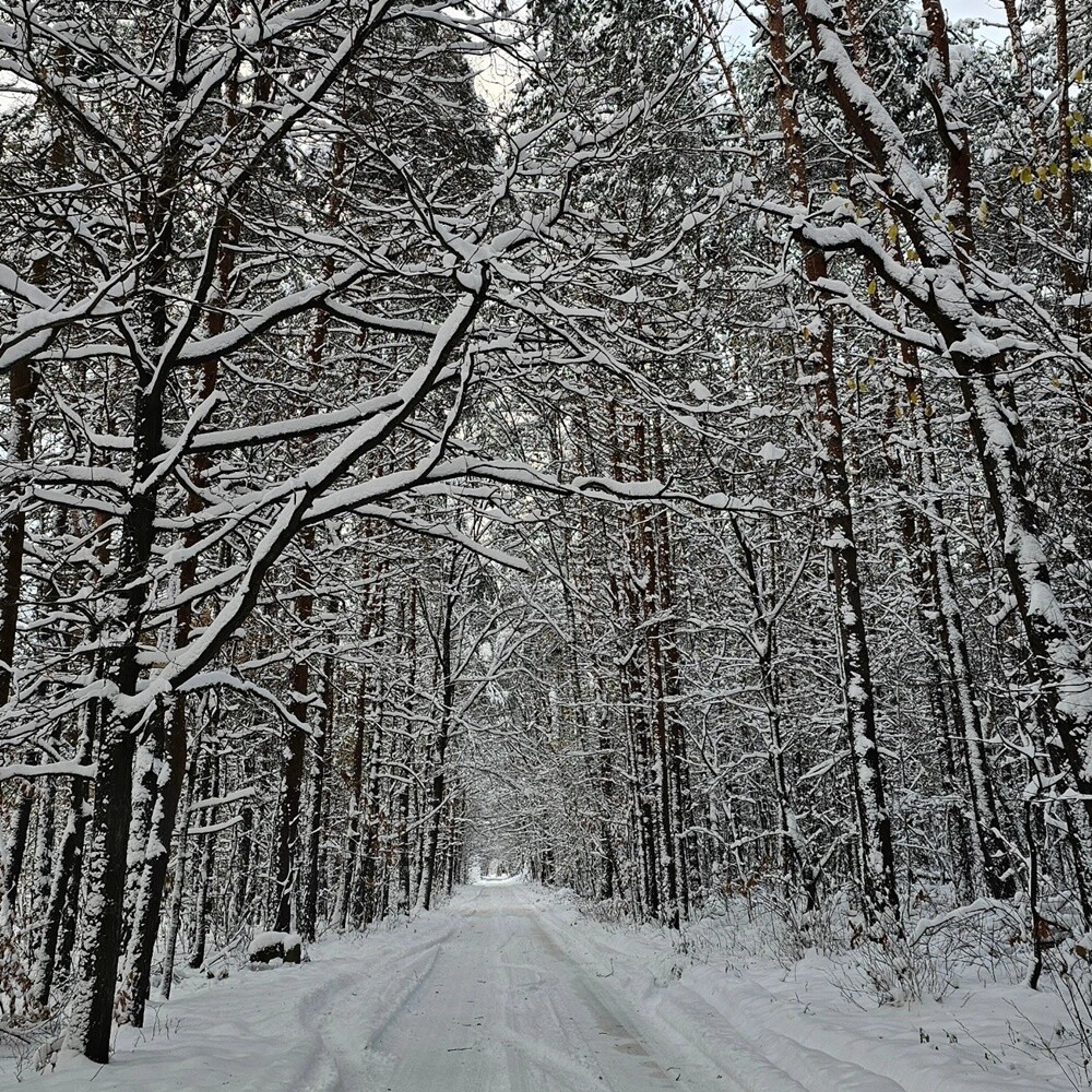 Zobaczcie, jak prezentuje się Ruda Śląska, przyozdobiona białym płaszczem. / fot. Jacek Knapik / FB Rafał Wypior