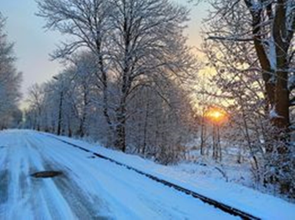 Śnieg zadomowił się u nas chyba na dobre. Zobaczcie, jak prezentuje się Ruda Śląska, przyozdobiona białym płaszczem. 

zdjęcia czytelników