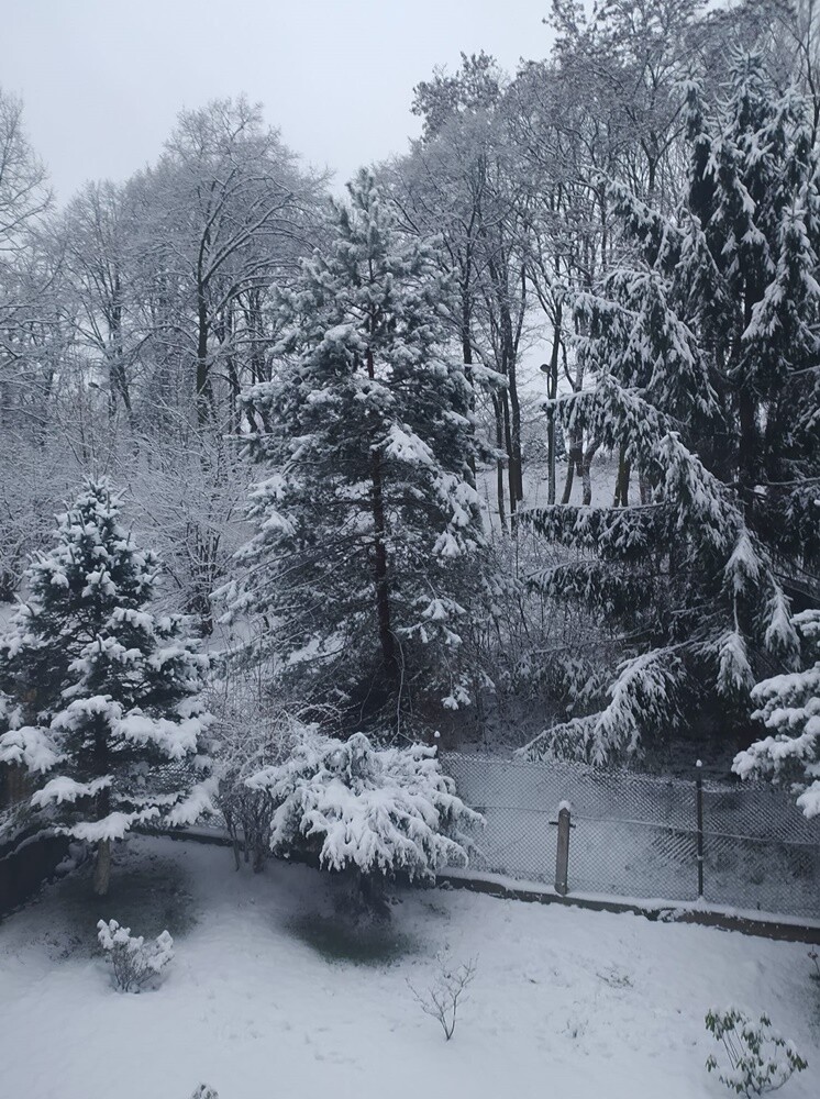 Śnieg zadomowił się u nas chyba na dobre. Zobaczcie, jak prezentuje się Ruda Śląska, przyozdobiona białym płaszczem. 

zdjęcia czytelników