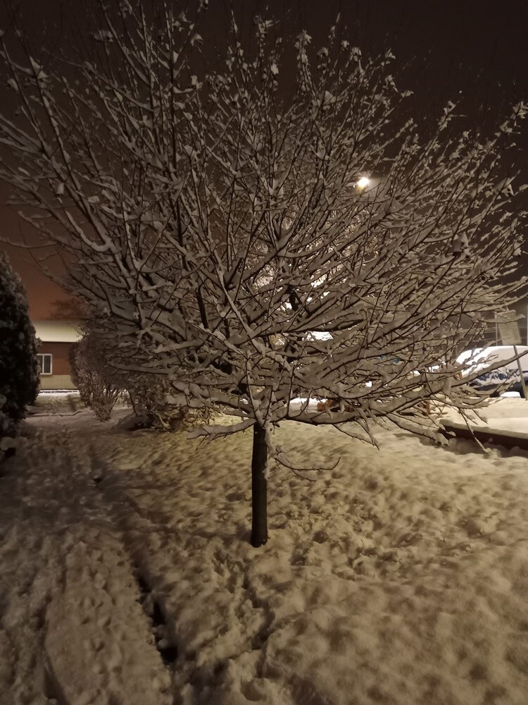 Śnieg zadomowił się u nas chyba na dobre. Zobaczcie, jak prezentuje się Ruda Śląska, przyozdobiona białym płaszczem. 

zdjęcia czytelników