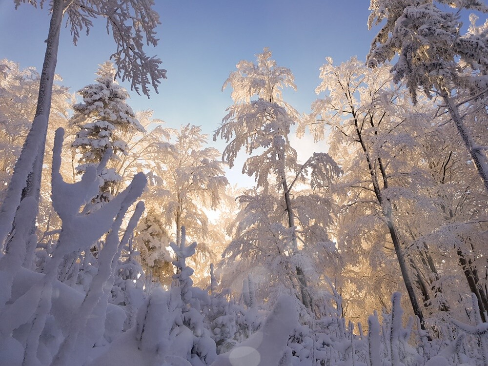 Śnieg zadomowił się u nas chyba na dobre. Zobaczcie, jak prezentuje się Ruda Śląska, przyozdobiona białym płaszczem. 

zdjęcia czytelników