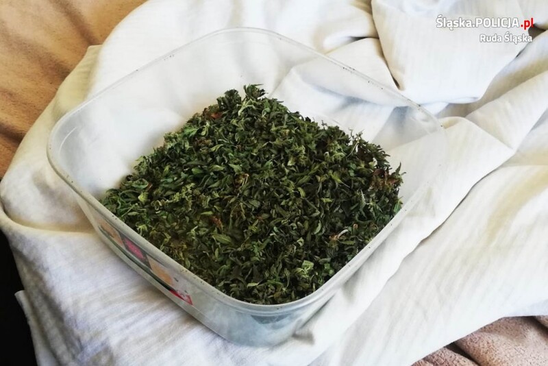 Zlikwidowali dwie plantacje marihuany