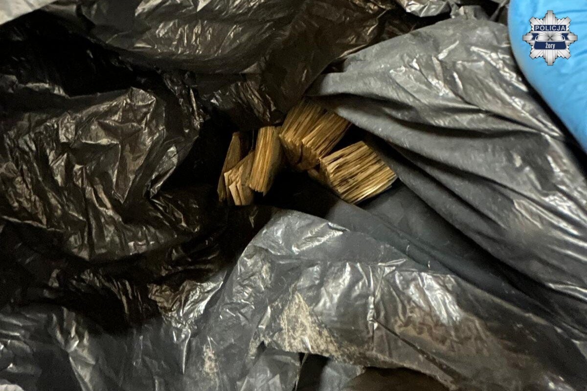 Zlikwidowany nielegalny punkt gier hazardowych w Żorach na ulicy Bankowej / fot. KMP Żory